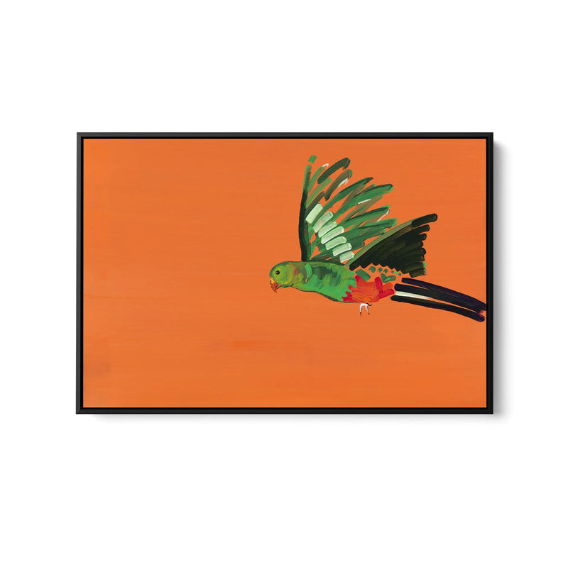King Parrot by Lucy Hawkins - Stretched Canvas Print or Framed Fine Art Print - Artwork I Heart Wall Art Australia 