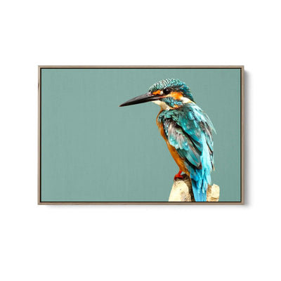 Kingfisher- Turquoise Australian Bird Canvas And Art Print - I Heart Wall Art