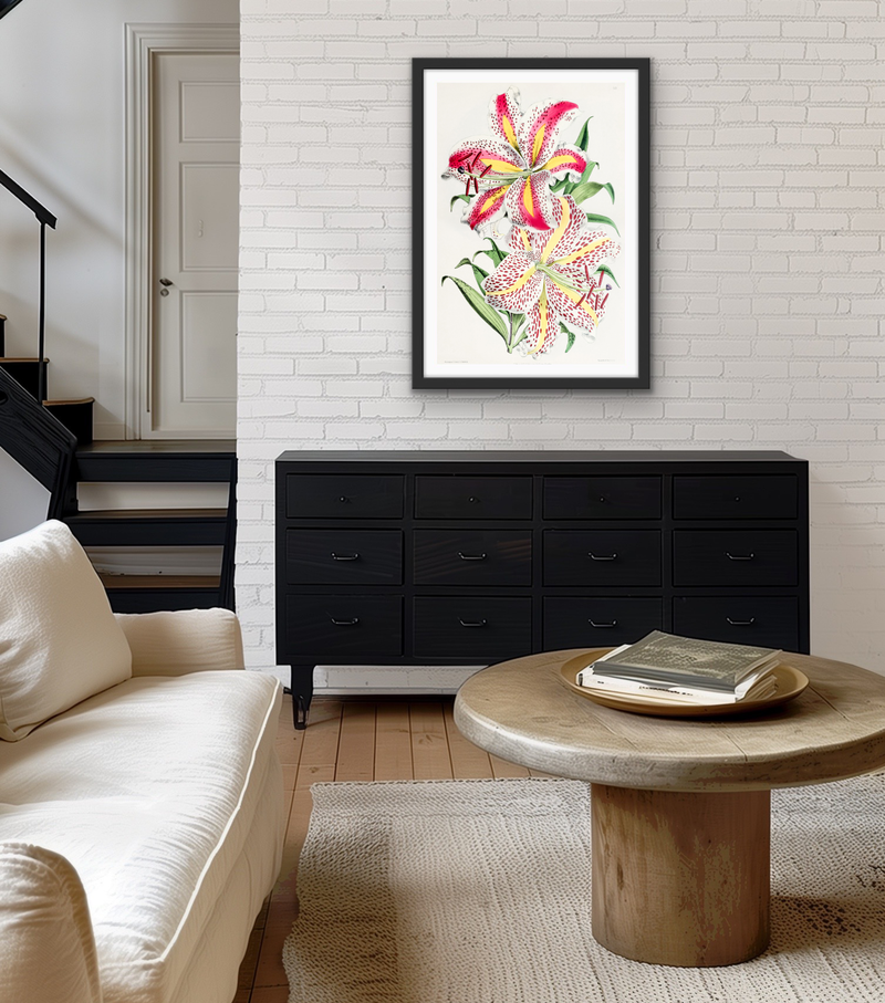 Lilium Auratum from The Floral Magazine (1861-1881) by Worthington G. Smith, John N. Fitch and Walter H. Fitch - Botanical Illustration Stretched Canvas or Wall Art Print