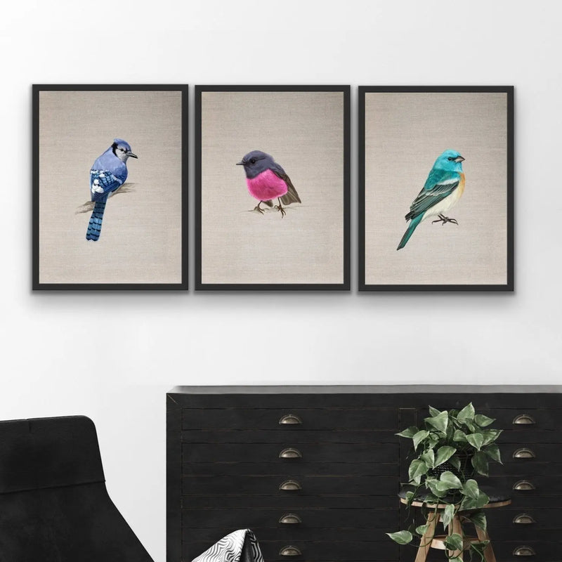 Little Gem Birds - Three Piece Watercolour Bird Wall Art On Canvas Triptych