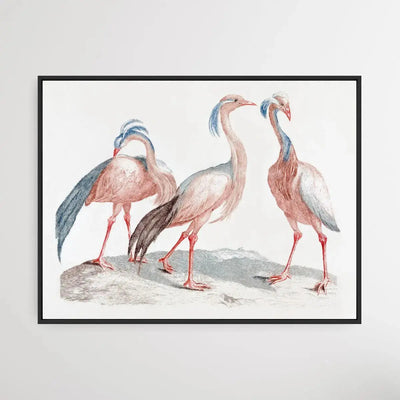 Miss Crane Birds by Johan Teyler (1648-1709) - I Heart Wall Art