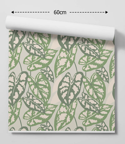 Monstera Leaf Wallpaper- Quality Peel and Stick Adhesive Wallpaper