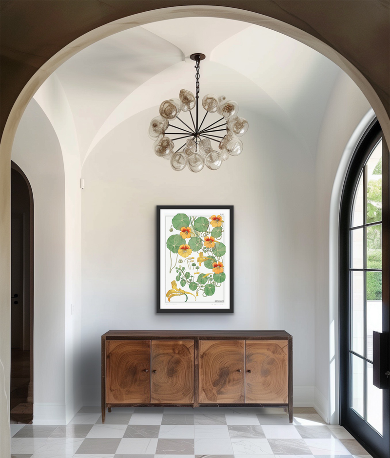 Capucine (nasturtium) from La Plante et ses Applications ornementales (1896) illustrated by Maurice Pillard Verneuil - Vintage Art print