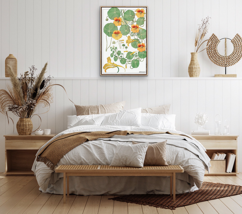 Capucine (nasturtium) from La Plante et ses Applications ornementales (1896) illustrated by Maurice Pillard Verneuil - Vintage Art print