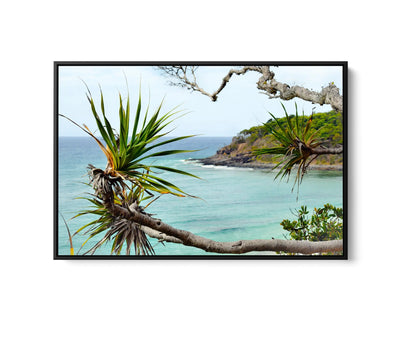 Noosa Beach - Pandanus and Ocean Sunshine Coast Photographic Art Print I Heart Wall Art Australia 