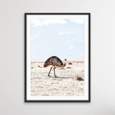 ﻿Outback Emu - Australian Outback Emu Bird Photographic Print