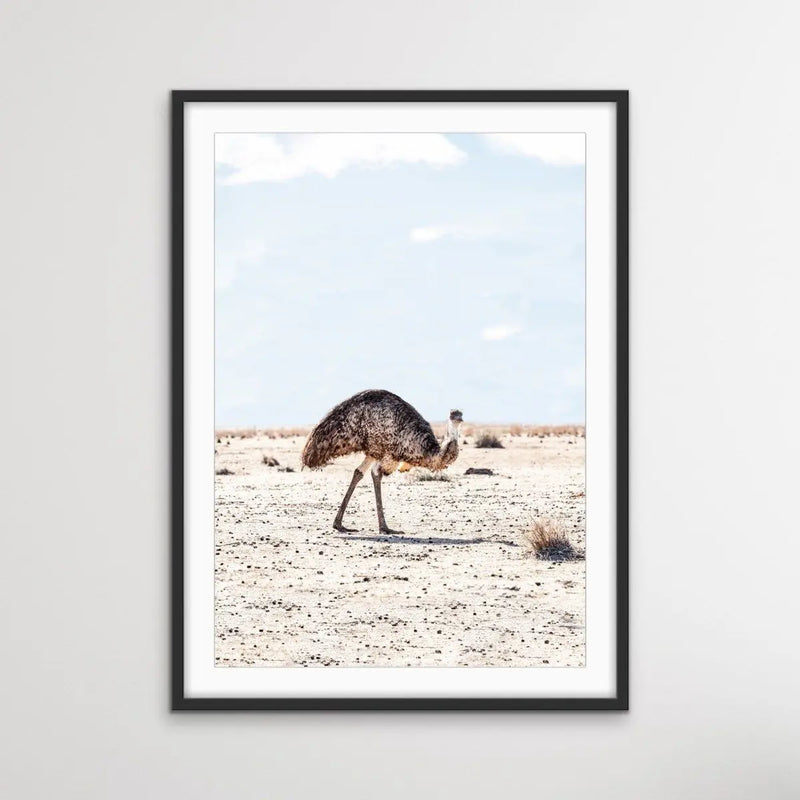﻿Outback Emu - Australian Outback Emu Bird Photographic Print