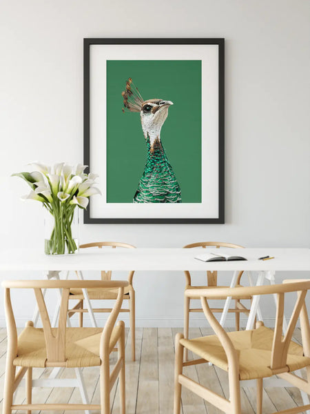 Australian native birds and botanicals wall art