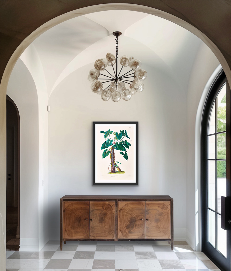 Philodendron Speciosum or Thaumatophyllum Speciosum from Icones Aroidearum (1857) by Heinrich Wilhelm Schott