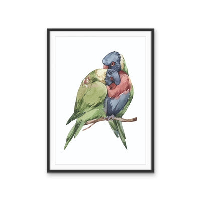Lorikeets Nursery Sketch - Australian Native Animal Stretched Canvas or Wall Art Print I Heart Wall Art