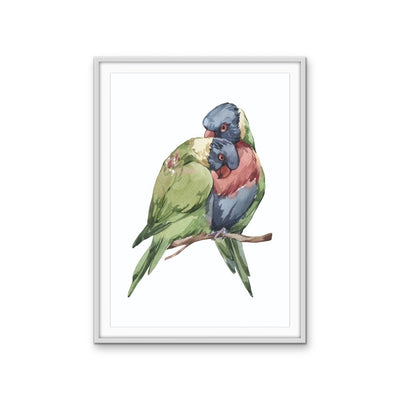 Lorikeets Nursery Sketch - Australian Native Animal Stretched Canvas or Wall Art Print I Heart Wall Art