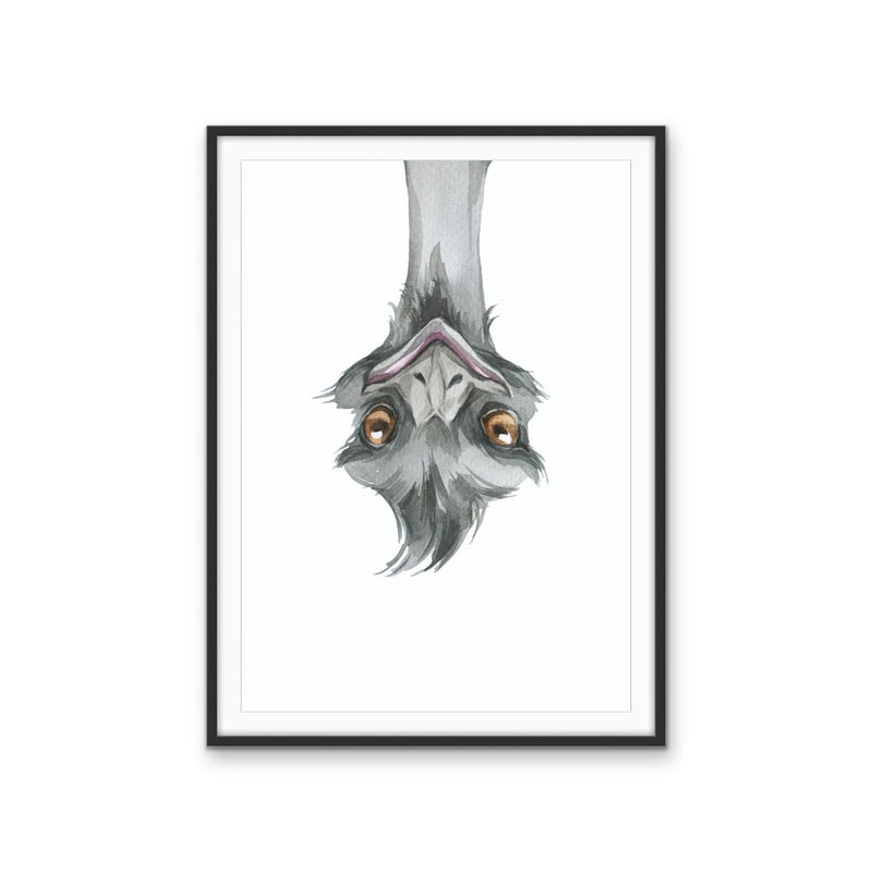 Funny Emu Nursery Sketch - Australian Native Animal Stretched Canvas or Wall Art Print I Heart Wall Art