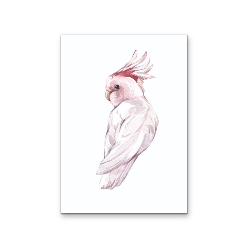 Pink Galah Nursery Sketch - Australian Native Animal Stretched Canvas or Wall Art Print I Heart Wall Art