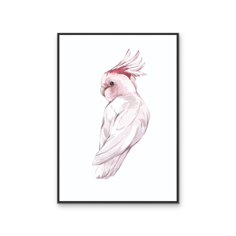 Pink Galah Nursery Sketch - Australian Native Animal Stretched Canvas or Wall Art Print I Heart Wall Art