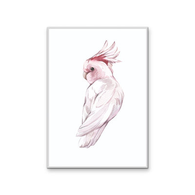 Pink Galah Nursery Sketch - Australian Native Animal Stretched Canvas or Wall Art Print I Heart Wall Art