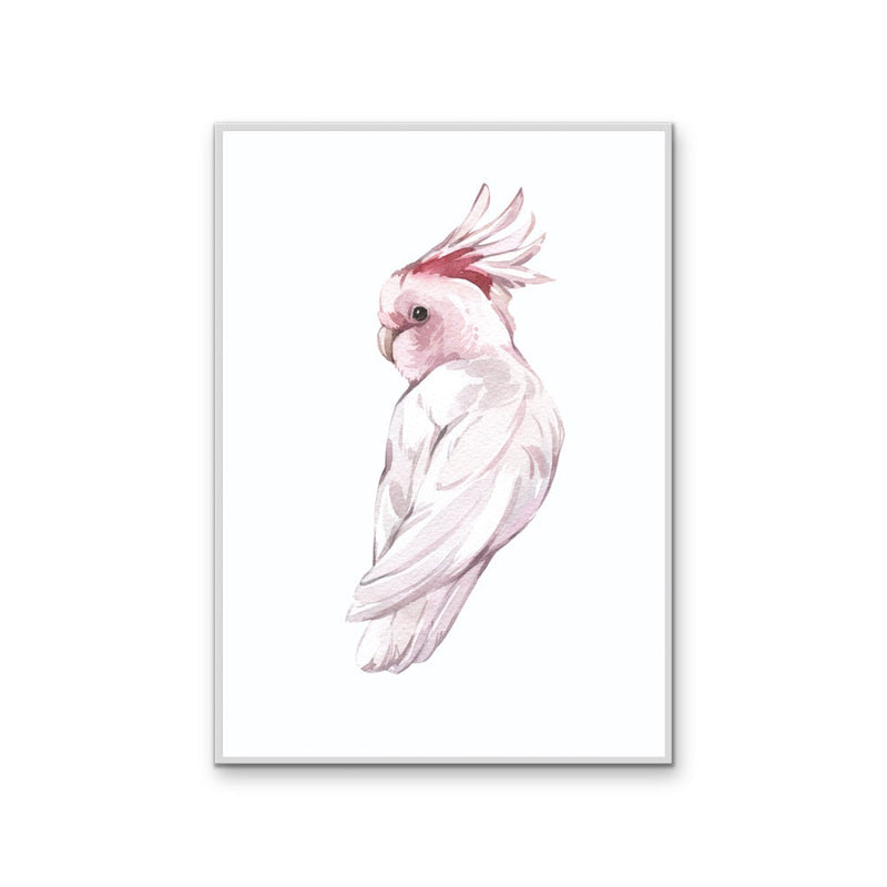 Pink Galah Nursery Sketch - Australian Native Animal Stretched Canvas or Wall Art Print I Heart Wall Art