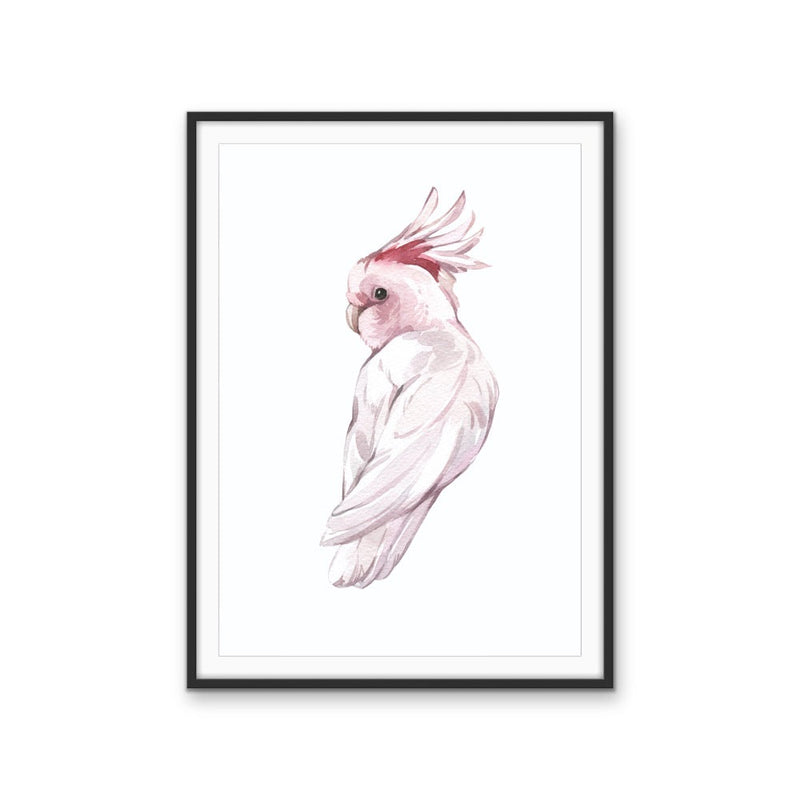 Pink Galah Nursery Sketch - Australian Native Animal Stretched Canvas or Wall Art Print I Heart Wall Art