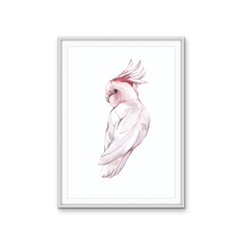 Pink Galah Nursery Sketch - Australian Native Animal Stretched Canvas or Wall Art Print I Heart Wall Art