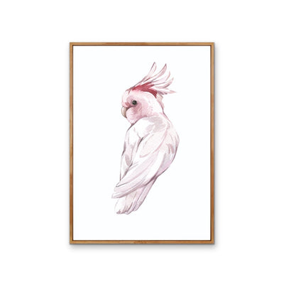 Pink Galah Nursery Sketch - Australian Native Animal Stretched Canvas or Wall Art Print I Heart Wall Art