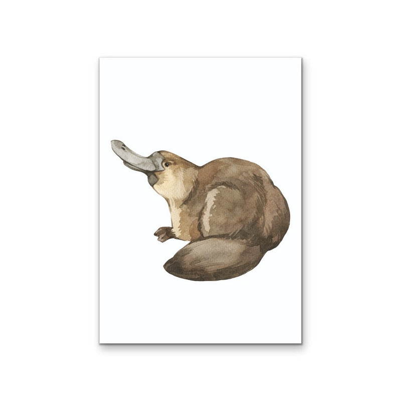 Platypus Nursery Sketch - Australian Native Animal Stretched Canvas or Wall Art Print I Heart Wall Art