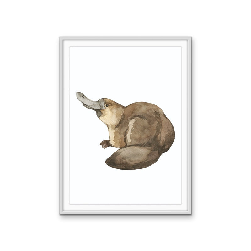 Platypus Nursery Sketch - Australian Native Animal Stretched Canvas or Wall Art Print I Heart Wall Art