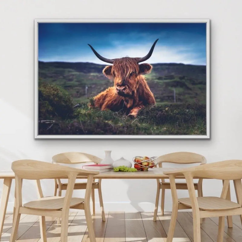Resting Highlander - Highland Cow Landscape Framed Canvas Print Wall Art Print I Heart Wall Art Australia