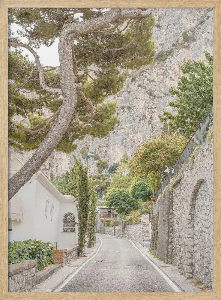 Streets of Capri - Stretched Canvas, Poster or Fine Art Print I Heart Wall Art