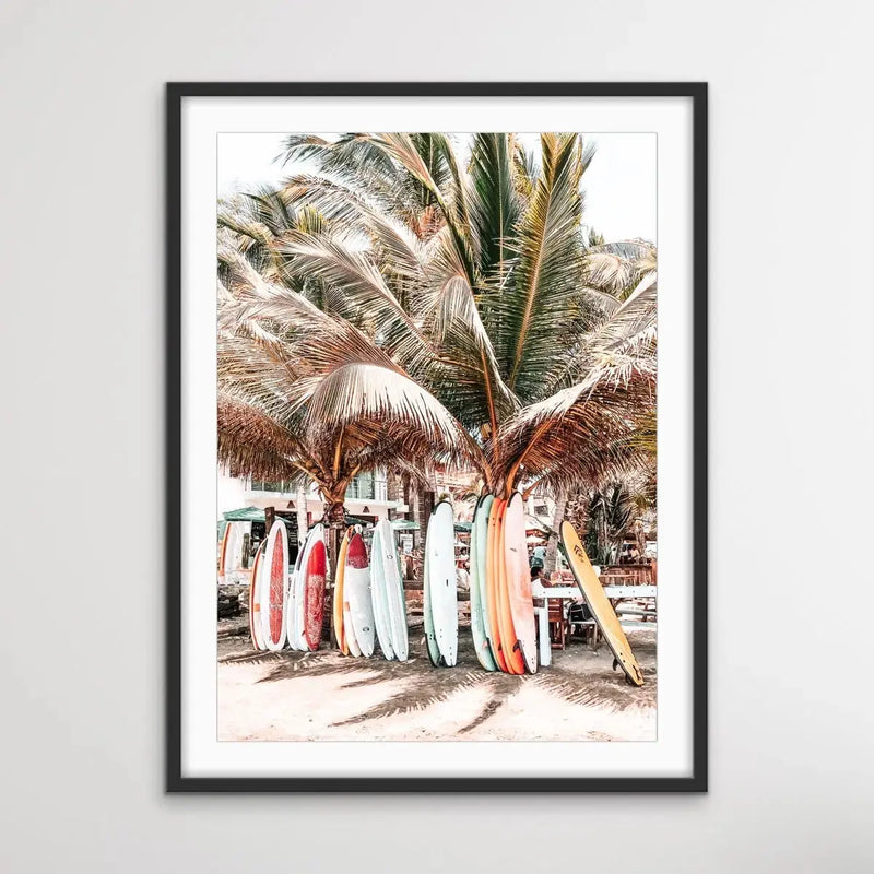 Surfboards - Photographic Print of Surfboards Under Palm Trees on Canvas or Paper I Heart Wall Art Australia