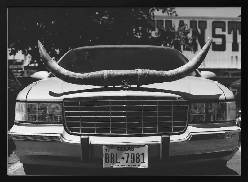 Texas Ride - Stretched Canvas, Poster or Fine Art Print I Heart Wall Art