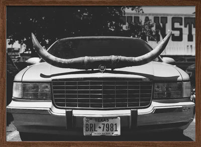 Texas Ride - Stretched Canvas, Poster or Fine Art Print I Heart Wall Art