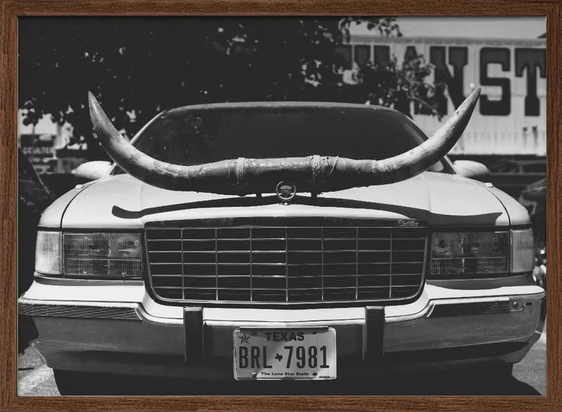 Texas Ride - Stretched Canvas, Poster or Fine Art Print I Heart Wall Art