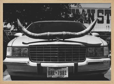 Texas Ride - Stretched Canvas, Poster or Fine Art Print I Heart Wall Art