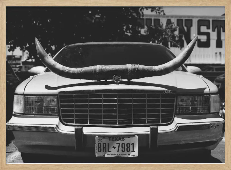 Texas Ride - Stretched Canvas, Poster or Fine Art Print I Heart Wall Art