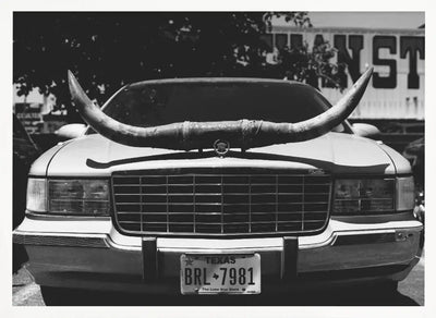 Texas Ride - Stretched Canvas, Poster or Fine Art Print I Heart Wall Art