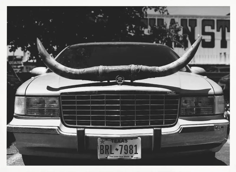 Texas Ride - Stretched Canvas, Poster or Fine Art Print I Heart Wall Art