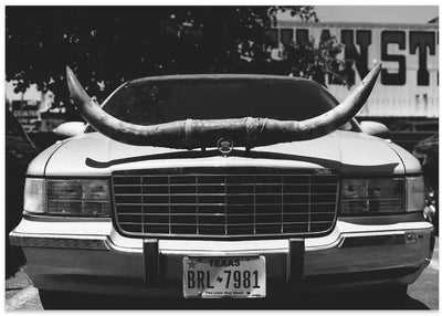 Texas Ride - Stretched Canvas, Poster or Fine Art Print I Heart Wall Art