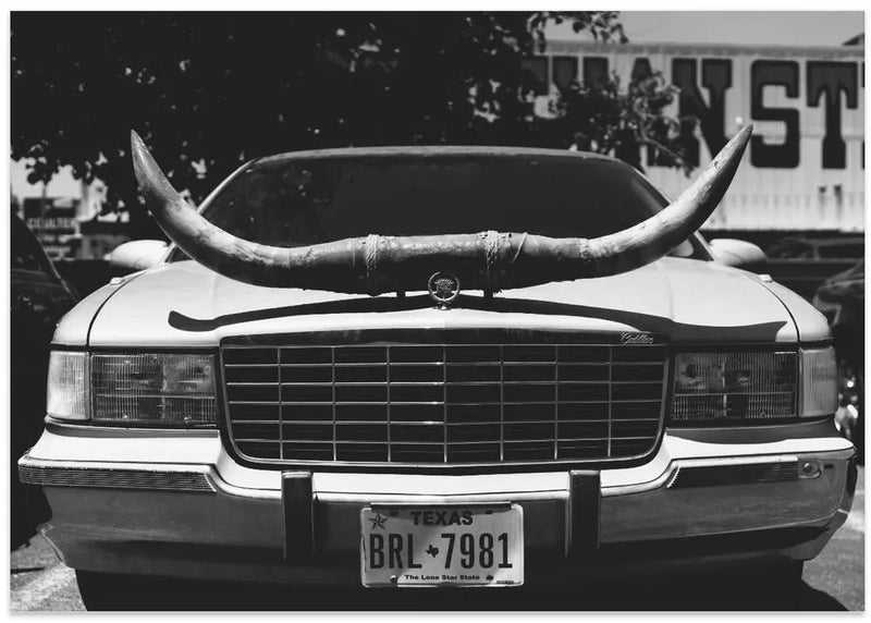 Texas Ride - Stretched Canvas, Poster or Fine Art Print I Heart Wall Art