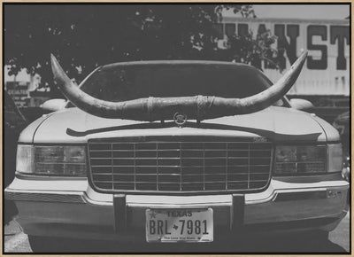 Texas Ride - Stretched Canvas, Poster or Fine Art Print I Heart Wall Art