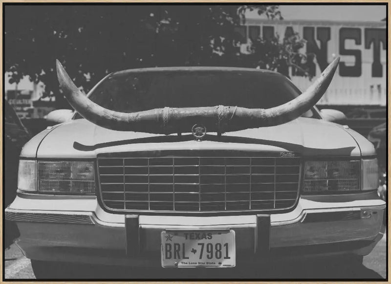 Texas Ride - Stretched Canvas, Poster or Fine Art Print I Heart Wall Art