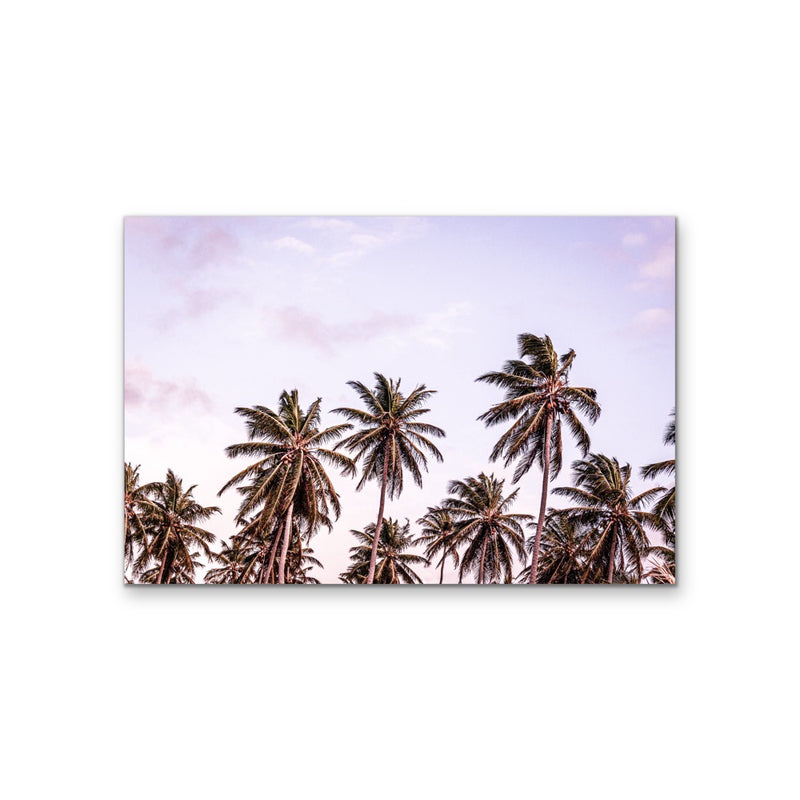 Tropical Palm-scape - Light Purple Sunset Stretched Canvas Wall Art Print I Heart Wall Art