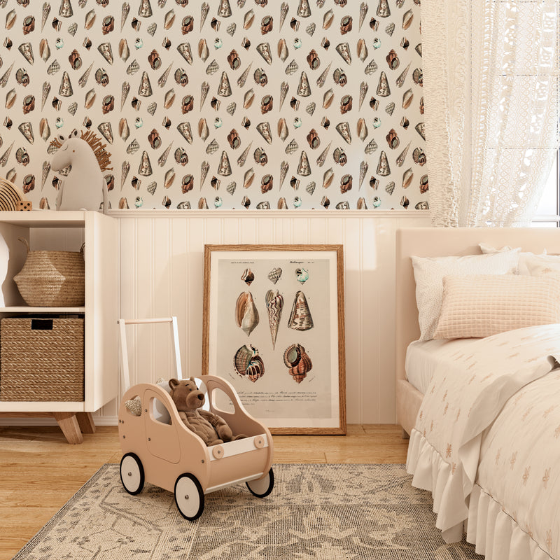 Vintage Shell Illustration Wallpaper - Quality Peel and Stick Adhesive Wallpaper