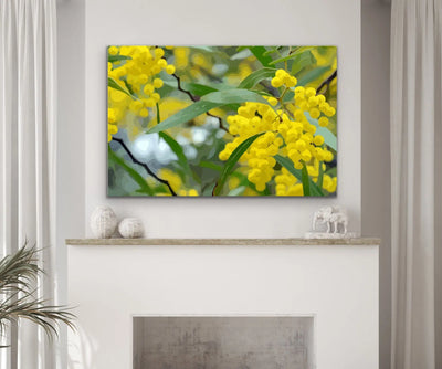 Wattle - Australian Yellow Native Flower Canvas or Art Print I Heart Wall Art Australia