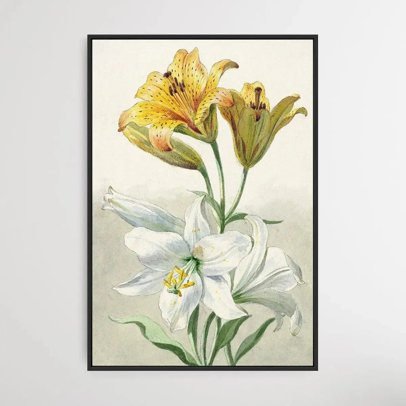 Yellow and White Lilies by William van Leen I Heart Wall Art Australia