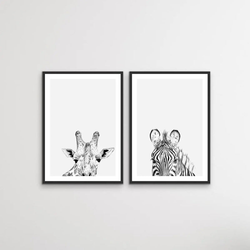 Zebra and Giraffe Sketches - Two Piece Line Drawing Set of Art or Canvas Prints