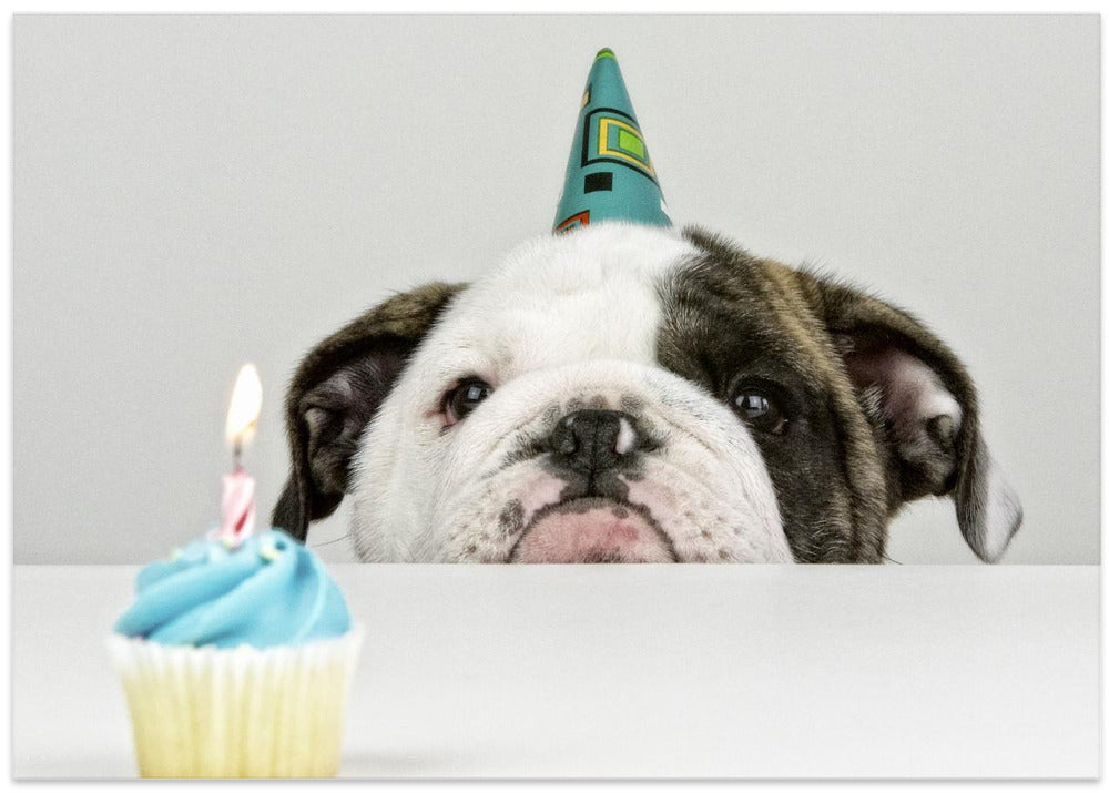 A Little Birthday - Stretched Canvas, Poster or Fine Art Print I Heart Wall Art