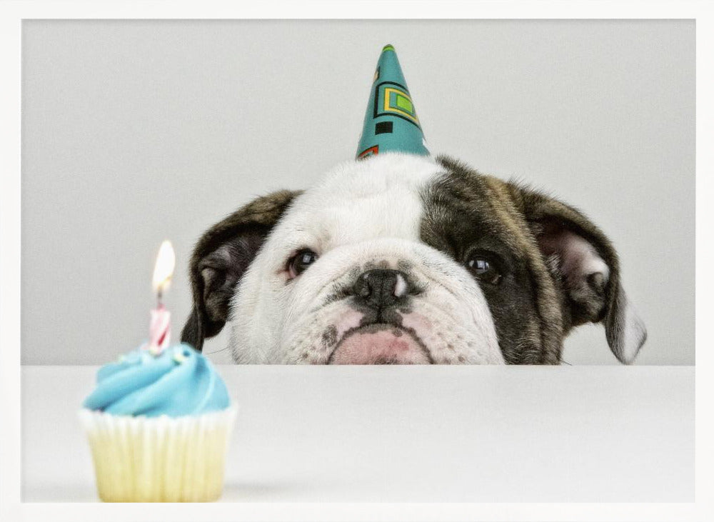 A Little Birthday - Stretched Canvas, Poster or Fine Art Print I Heart Wall Art