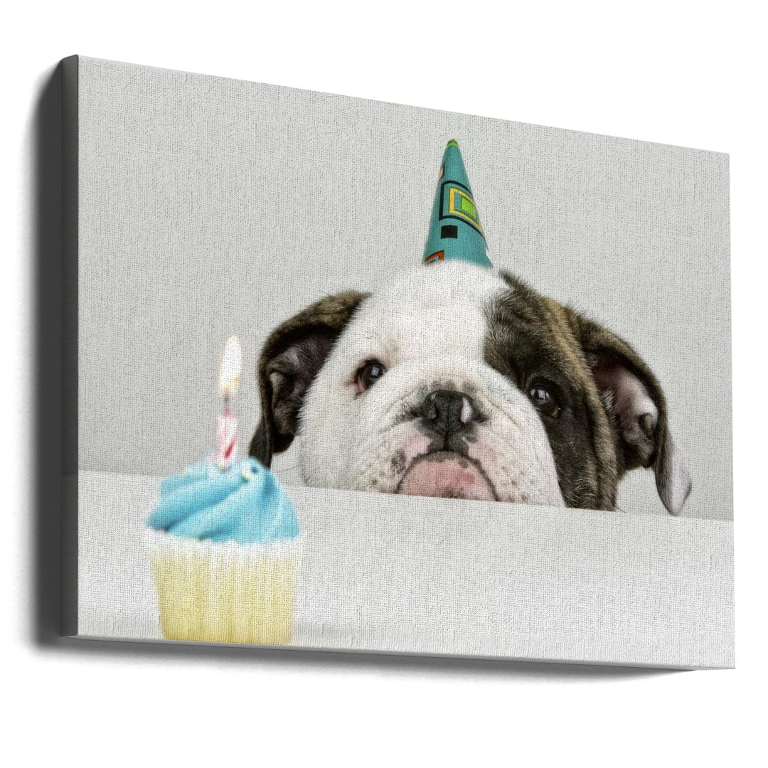 A Little Birthday - Stretched Canvas, Poster or Fine Art Print I Heart Wall Art