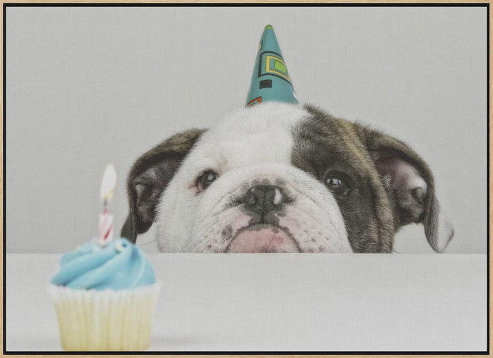A Little Birthday - Stretched Canvas, Poster or Fine Art Print I Heart Wall Art