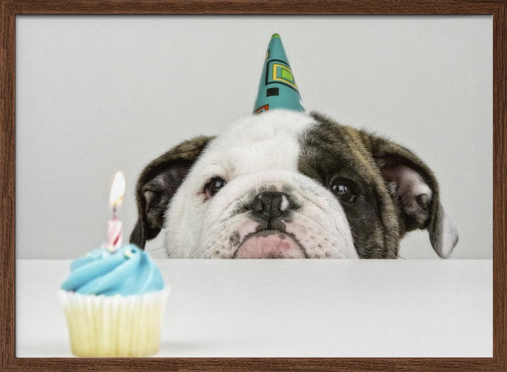 A Little Birthday - Stretched Canvas, Poster or Fine Art Print I Heart Wall Art