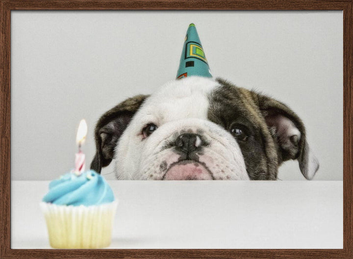 A Little Birthday - Stretched Canvas, Poster or Fine Art Print I Heart Wall Art